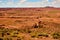 Barren Landscape Painted Desert Northern Arizona