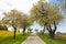 Barren Road Through Summer Landscape on Czech Countryside