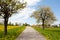 Barren Road Through Summer Landscape on Czech Countryside