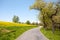 Barren Road Through Summer Landscape on Czech Countryside