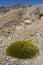 Barren slopes in Sierra Nevada National Park