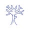 barren tree. Vector illustration decorative design