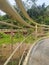 Barrier fence area Curug Tomo