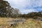 Barrington Tops swamps