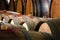 Barriques in an historic wine cellar of piedmont Italy
