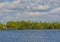 Barron River Mangroves in Everglades City, Collier County, Florida