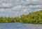 Barron River Mangroves in Everglades City, Collier County, Florida