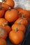 A barrow full of Pumpkins