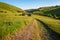 Barrowburn Hay Meadows looking down Coquetdale