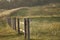 The bars of the fence on a meadow