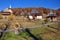 Barsana monastery view