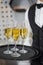 Bartender holding tray of champagne glasses in bar