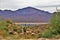 Bartlett Lake reservoir, Maricopa County, State of Arizona, United States scenic landscape view