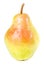 Bartlett Pear