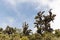 Barva volcano forest, Barva National Park, Costa Rica