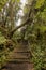 Barva volcano trails, Barva National Park, Costa Rica