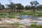 Barwon River in Australia