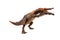 Baryonyx  ,dinosaur on white background