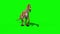 Baryonyx Dinosaurs Die Front Green Screen 3D Rendering Animation Jurassic Loop