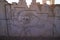 Bas-relief of a bull and a lion at the ruins of Persepolis in S