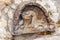 Bas-relief in Gethsemane Garden at Mount of Olives, Jerusalem,