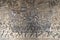 Bas Relief mural of Khmer culture in Angkor Wat temple wall , Cambodia, close up