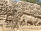 Bas relief rock cut sculptures of Gods, people and animals carved in monolithic rock 