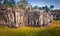 Bas-relief at Terrace of the Elephants . Siem Reap. Cambodia