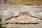 Bas-reliefs of antique scenes on the gables of the amphitheater in Hierapolis, Turkey