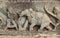 Bas-reliefs in Mahanavami Dibba - The Great Platform UNESCO World heritage site in Hampi. Karnataka, India.