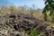 Basalt Column Rock Formations India