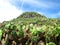 The basalt columns in Tongpan (æ¡¶ç›¤) Island, Penghu County, TAIWAN