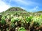 The basalt columns in Tongpan (æ¡¶ç›¤) Island, Penghu County, TAIWAN