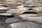 Basalt pavement of the Appia Antica, Rome