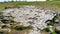 Basalt rock formations called church floor in Kirkjubaejarklaustur Kirkjugolf, southern Iceland