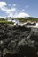 Basalt rocks, Pico island, Azores