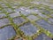 Basalt stone blocks pavement steps with green moss background
