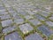 Basalt stone blocks pavement steps with green moss background