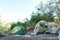 Base camp in nature. Tourist tents. Tourists in the nature