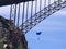 Base jumper parachutes by bridge