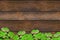 Base panels wooden dark brown boards horizontal background border band set gingerbread mastic green clover symbol holiday day sain