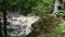 The base of a small waterfall in a forest