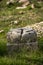 base of a very old stone column in a Greek ruins surrounded