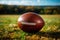 Baseball or an American football ball is lying on the lawn at the stadium