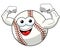 Baseball ball character mascot cartoon showing biceps vector isolated