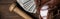 Baseball ball, glove, bat and money on wooden table