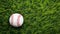 Baseball ball on the green grass. Close-up image.