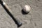 Baseball bat and ball in dirt