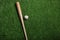 Baseball bat and ball on green turf background