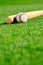 Baseball and bat in field